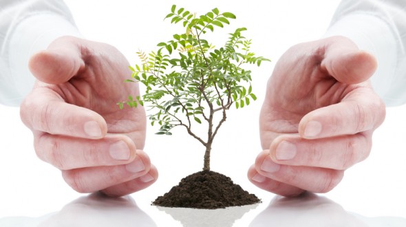 lead nurturing campaign 590x330